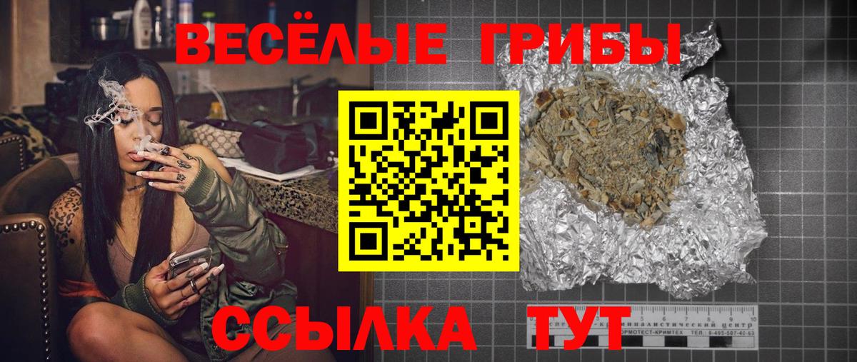 Галлюциногенные грибы Psilocybe Каменск-Уральский