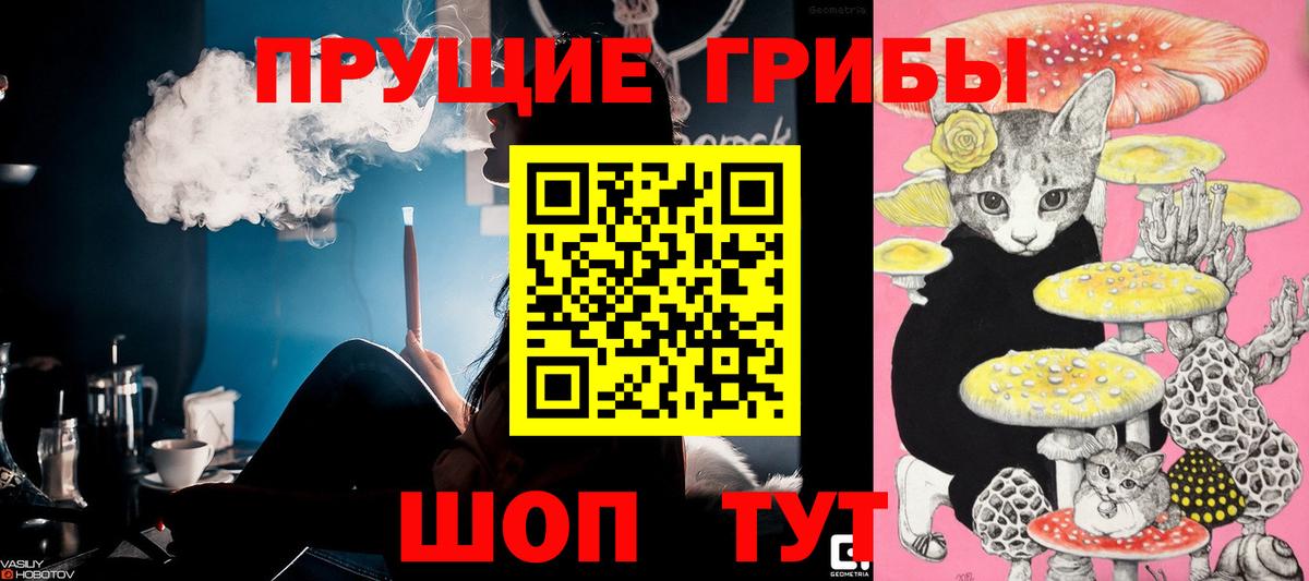 Псилоцибиновые грибы MAGIC MUSHROOMS  Вход с VPN  Каменск-Уральский 